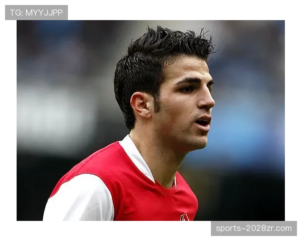 在控球体系下法布雷加斯与皮尔洛传球分布出现分散趋势